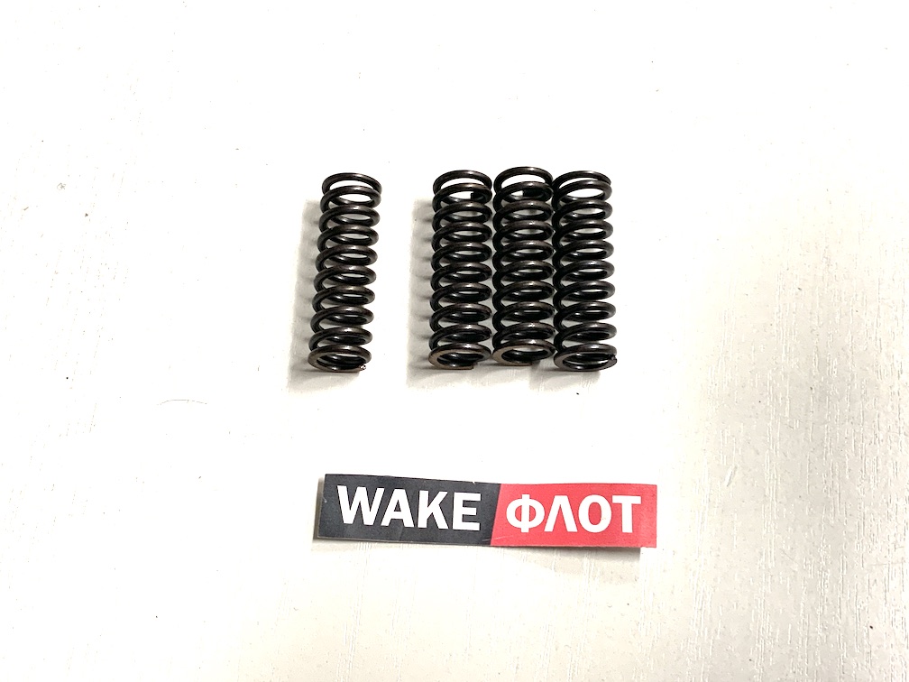 Пружина трансмиссии ZF 3311301007 комплект 4 шт.