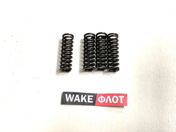 Пружина трансмиссии ZF 3311301007 комплект 4 шт.