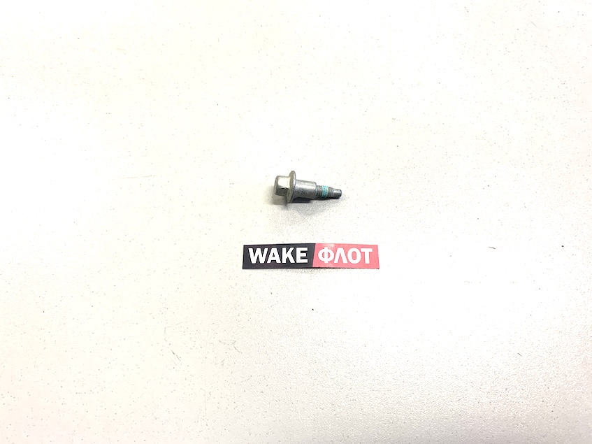 Болт клапанной крышки, 8.1L