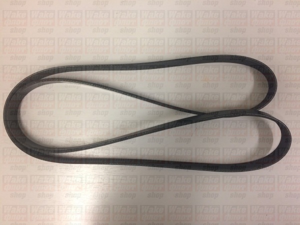 Ремень привода, INDMAR, 6.0L, Monsoon