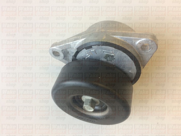 Натяжитель ремня, INDMAR, 556059