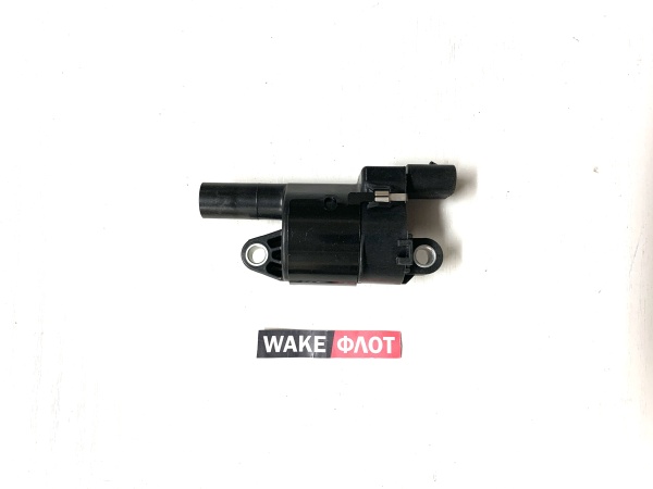 12699382 Катушка зажигания GM 5.3L - 6.2L DI GM оригинал PCM R117015