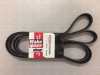 Ремень привода, PCM, GEN-5 H5/H6 R066040