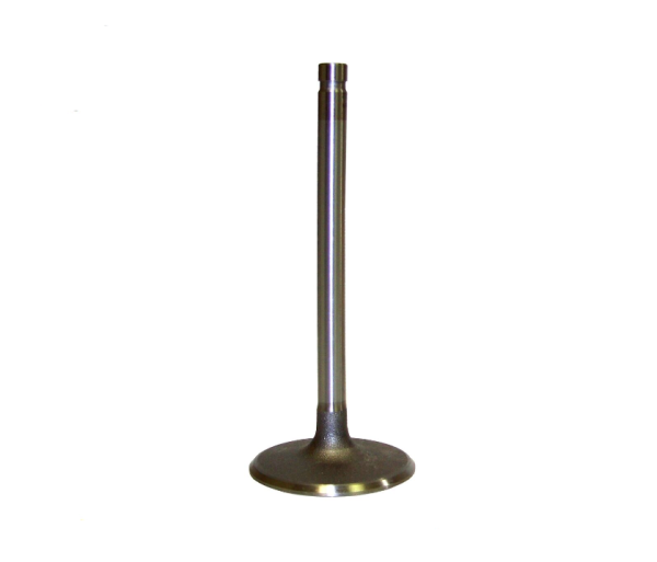 Клапан впускной для двигателя 8.1L